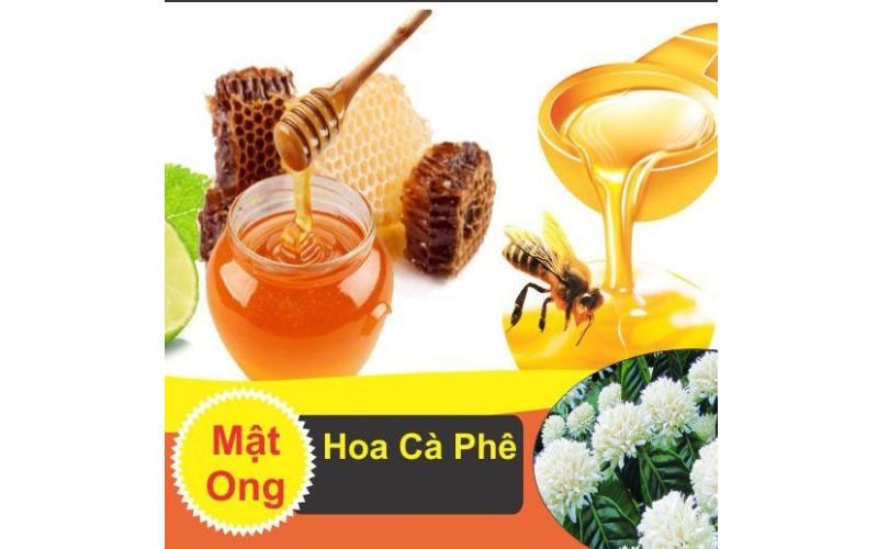 Mật Ong Hoa Cà Phê - Nguyên Chất 100%